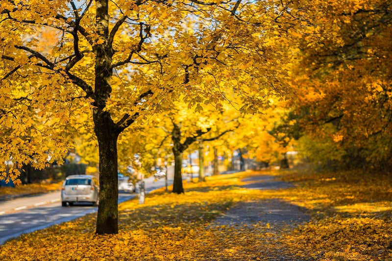 Why the Autumn is a Great Time to Install an Attic Fan