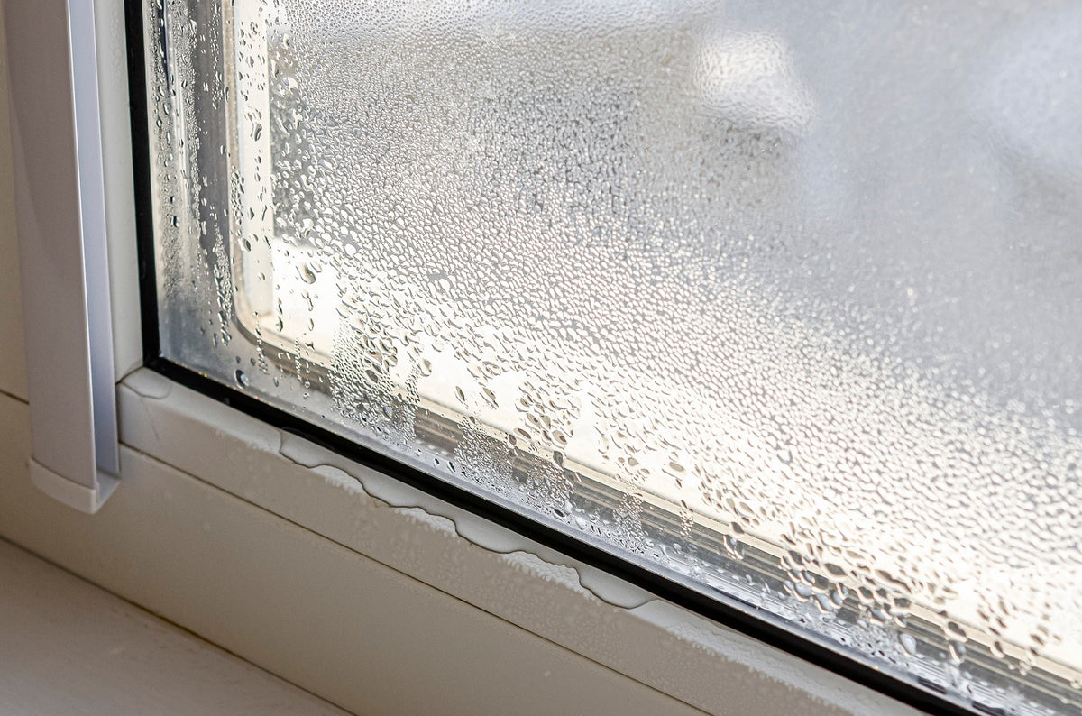 Why Do My Windows Have Condensation?